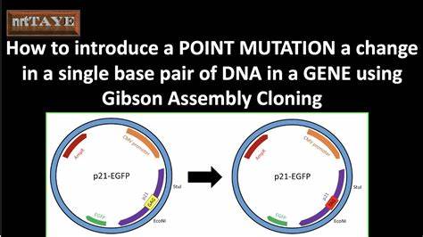 Go Assembly Mutation Testing