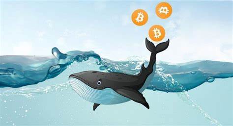 Protecting Yourself from Whale Manipulation in the Broader Cryptocurrency Market – Market - HPBL