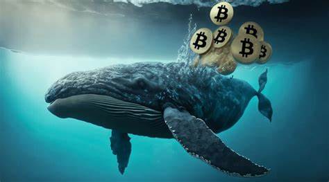 Bitcoin Whales Dump Over 40,000 BTC, Altcoins Records Mixed Patterns - ZyCrypto