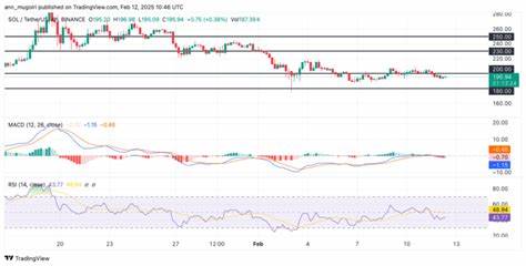 Solana Price Dips Below $200 as Whale Withdraws $5M in SOL - CoinGape