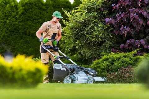 The 6 Best Electric Lawn Mowers To Make Yard Maintenance Easier - Forbes