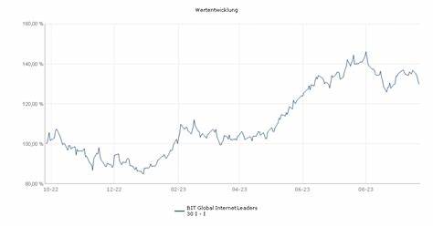 Anlageidee des BIT Global Crypto Leaders I-I Fonds