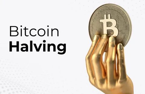 Understanding the Bitcoin Blockchain - CryptoTvplus