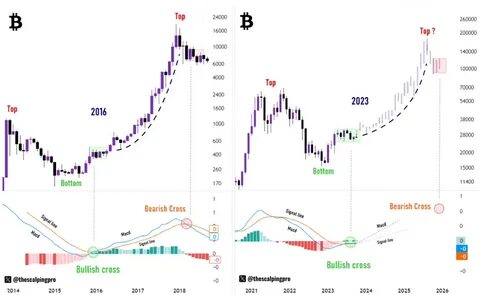 Analyst Predicts New All-Time High Rallies for Bitcoin, Says BTC Now in Stage Two of Bull Market
