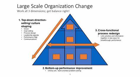 Building Organizational Capacity for Large-Scale Change
