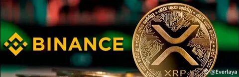 Mnenja Everlaya (@Square-Creator-135a0b68dc24). - Binance
