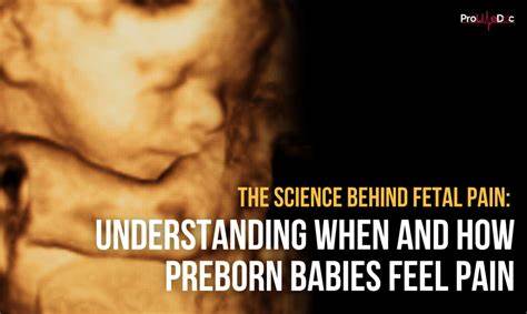 Babies experience pain before they can comprehend it