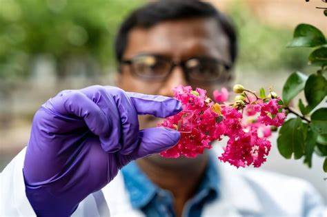 New boron nitride coating for glass reduces heat loss and saves energy