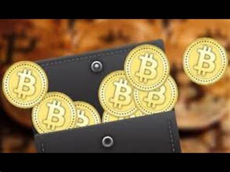 Number of new Bitcoin addresses spikes amid growing FOMO - Cointelegraph