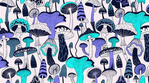 Magic Mushroom Edibles Found to Contain Undisclosed Ingredients–No Psilocybin