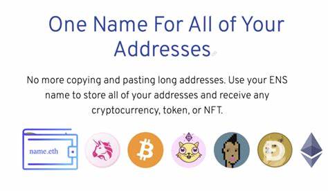 Crypto Domains Explained: Are .crypto and .bitcoin Domains the Future? - CoinCentral