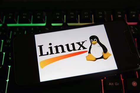 Two bugs for Linux Sudo utility patched, one rated critical