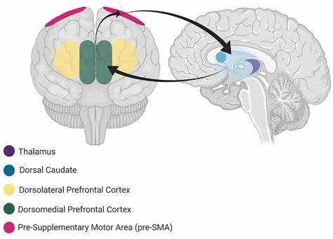 Uncertainty Drives Dorsomedial Prefrontal Engagement Inferences about Others