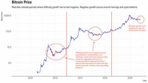 Bitcoin Cash Halving Results in Miner Exodus and Profitability Decline - Cointelegraph