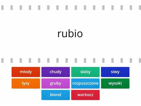 QUERY - Tłumaczenie na polski - bab.la