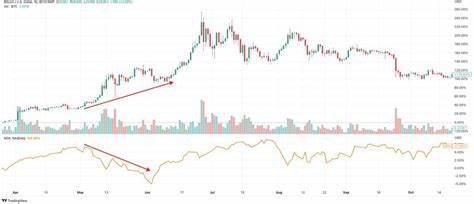 Crypto Market in a ‘Beautiful Early Bull Setup,’ Says Investor Chris Burniske – But There’s a Catch - The Daily Hodl