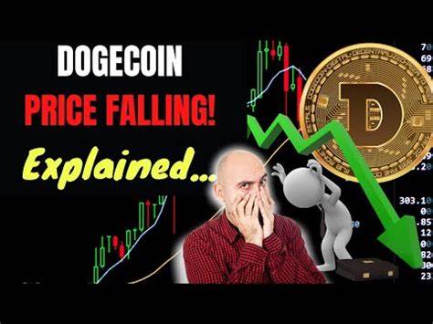 Here's why DOGE holders are betting big on this $0.04 coin - crypto.news