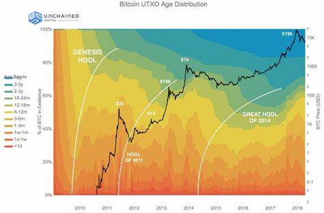 Is Bitcoin Hitting A Bottom? Insights From UTXO Data — TradingView News - Digital Market News