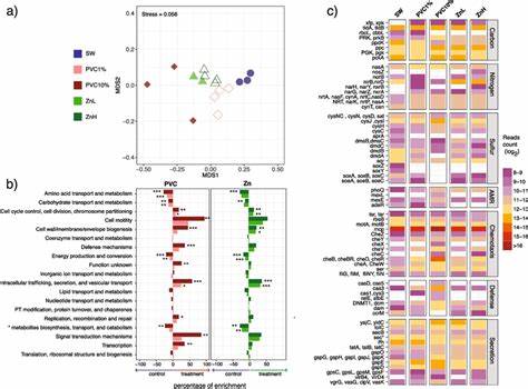 Effect of leachates from black recycled polyethylene plastics on mRNA expression