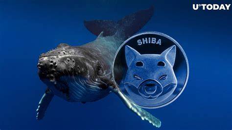 Shiba Inu Whales Betray SHIB Despite 1.62 Trillion Transfers: What's Going On? - U.Today