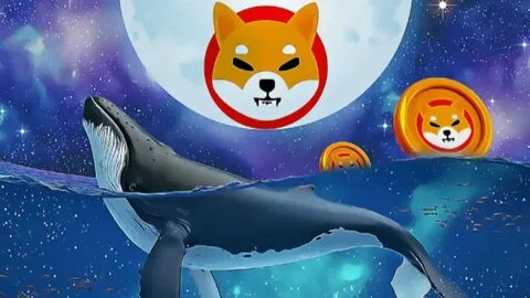 Shiba Inu Price Down This Week As Whales Push Millions Into Altcoins Following Trumps Crypto Reserve Announcement - NewsWatch
