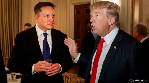 Donald Trump’s Inauguration And Elon Musk Set To Propel Dogecoin Price to $1 This Month - ZyCrypto