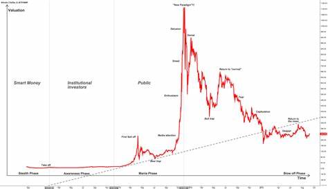 The Bitcoin bubble and cryptocurrency craze - The Communist
