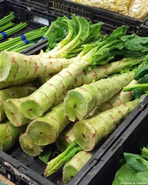 Celtuce