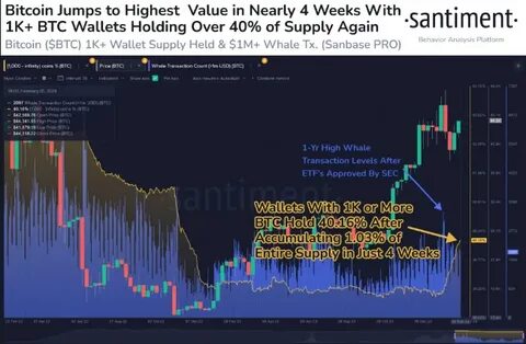 Bitcoin Whales Accumulate Over $930 Million in $BTC As Supply on Exchanges Drops to 4-Year Low