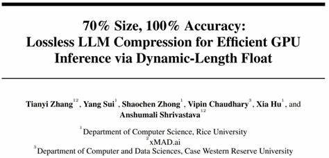 70% Size, 100% Accuracy: Lossless LLM Compression via Dynamic-Length Float