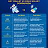 Hot Wallets vs Cold Wallets: How Are They Different? - CoinGape