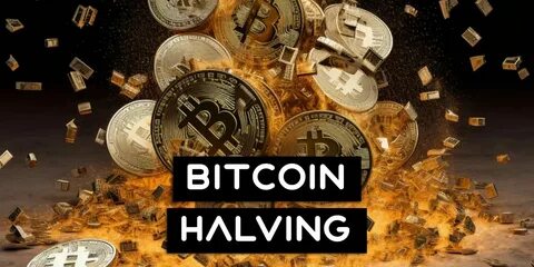 Understanding the Bitcoin surge - Businessday NG