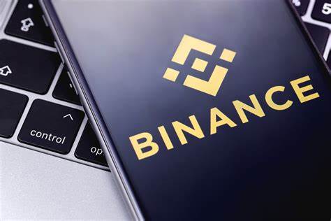 Centre wants Binance to comply with PMLA rules to resume operations - The Economic Times