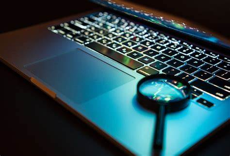 Top Dark Web Search Engines in 2024 - Webz.io