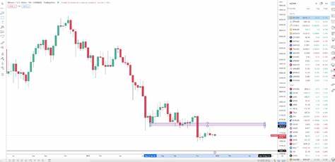 Bitcoin options traders anticipate short-term price correction, analysts say - The Block