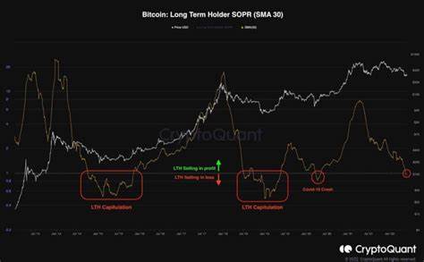 Bitcoin’s Bear Market Long-Term Holders Capitulation Started: Reason for Optimism? - CryptoPotato