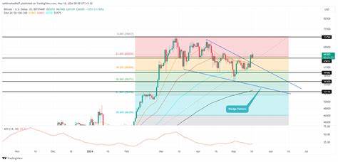 Bitcoin Price Analysis: Why BTC Rise to $67k Hints End of Correction Trend - CoinGape