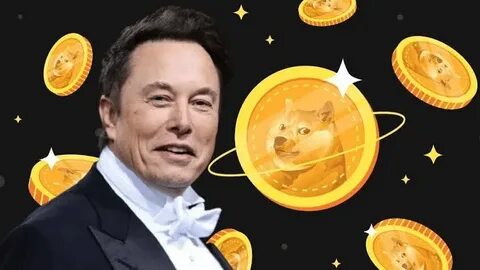 Elon Musk fans truly believe he can make Dogecoin the currency of Earth