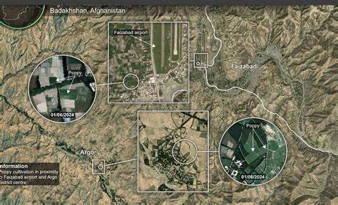 Satellites Track Poppy Production in Afghanistan