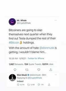 Bitcoin Has Surged Over 1,000% Since Elon Musk’s First Tweet on BTC - The Crypto Basic