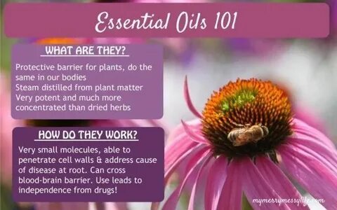 What Are Essential Oils, and Do They Work?