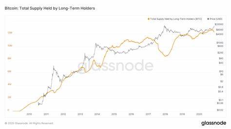 Report Shows Major Sell-Offs by Long-Term Bitcoin Holders in 2024 - The Crypto Basic