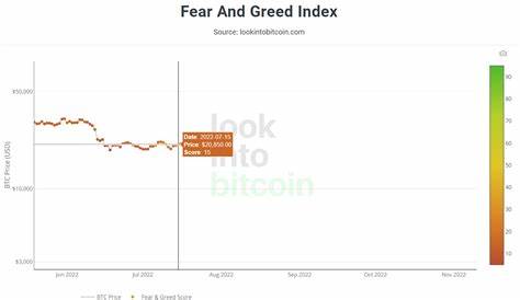 Bitcoin Fear & Greed Index Responds to a Bullish BTC Return to $20,000
