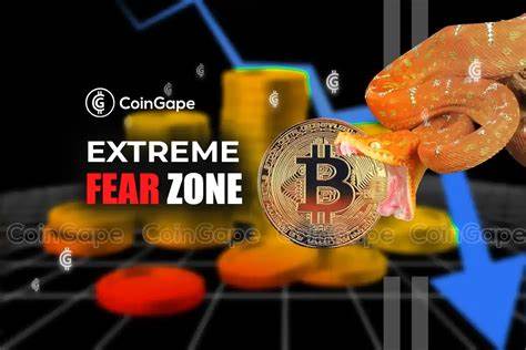 Bitcoin Enters Extreme Fear Zone For The First Time In 18 Months: More To Go? - CoinGape