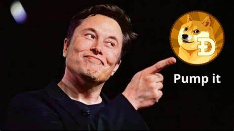Will Dogecoin Price Pump as Elon Musk Led DOGE Mulls $5,000 Stimulus Checks? - CoinGape