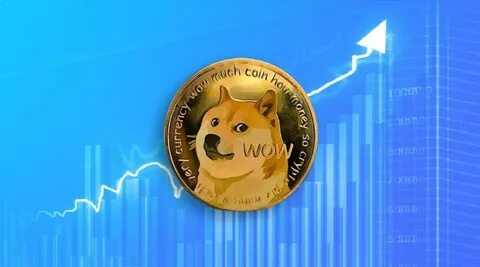 ‘Every Bull Run Has Its Winners,’ Analyst Dismisses the Potential of a Dogecoin (DOGE) Comeback in 2024, Shares the Next Big Cryptocurrency - The Cryptonomist