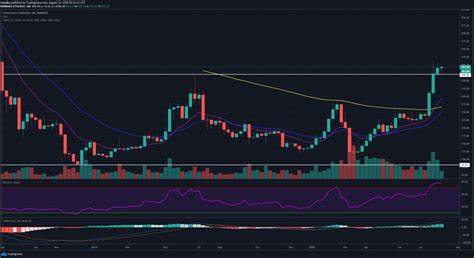 Ethereum News: Price Drops below $3,250 What’s Happening? - CryptoTicker.io - Bitcoin Price, Ethereum Price & Crypto News
