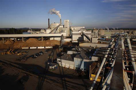Sappi concludes $500m expansion project at Somerset Mill in Maine, US