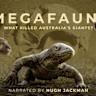 Interaction with megafauna in S. America earlier than widely accepted theory