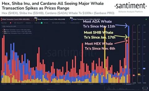 Altcoin Witnesses Massive $3.8M Whale Transaction: Updates on TON Market Analysis & SHIB Reserve ... - Binance